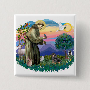 Dackel (schwarz und braun) button