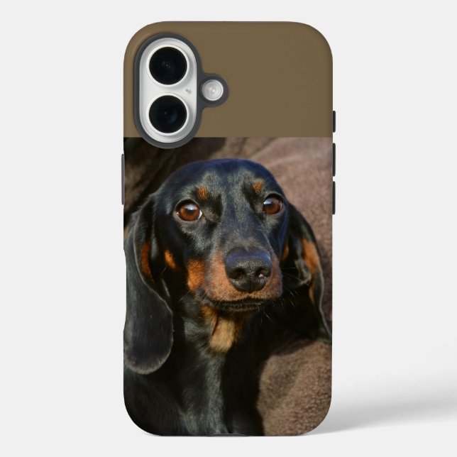 Dackel schwarz und braun Case-Mate iPhone hülle (Rückseite)