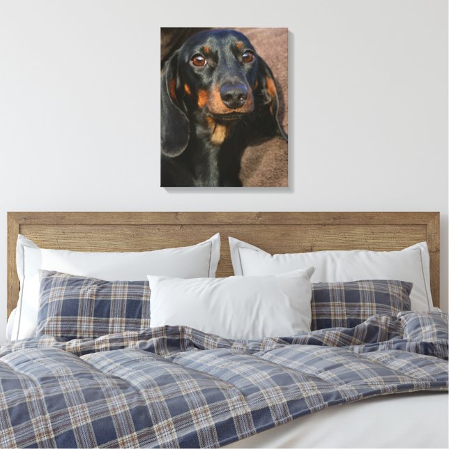 Dackel schwarz und braun leinwanddruck (Insitu (Schlafzimmer))