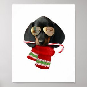Dackel Shirt Niedliche Weihnachtsgeschenke Hunde L Poster