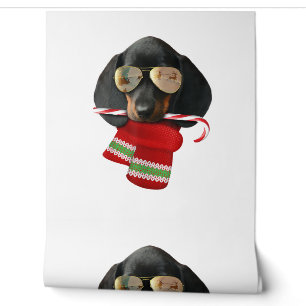 Dackel Shirt Niedliche Weihnachtsgeschenke Hunde L Tapete