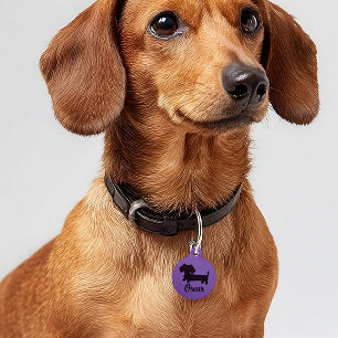Dackel-Sicherheitskennzeichnungen Dackel Hundeschi Haustiermarke