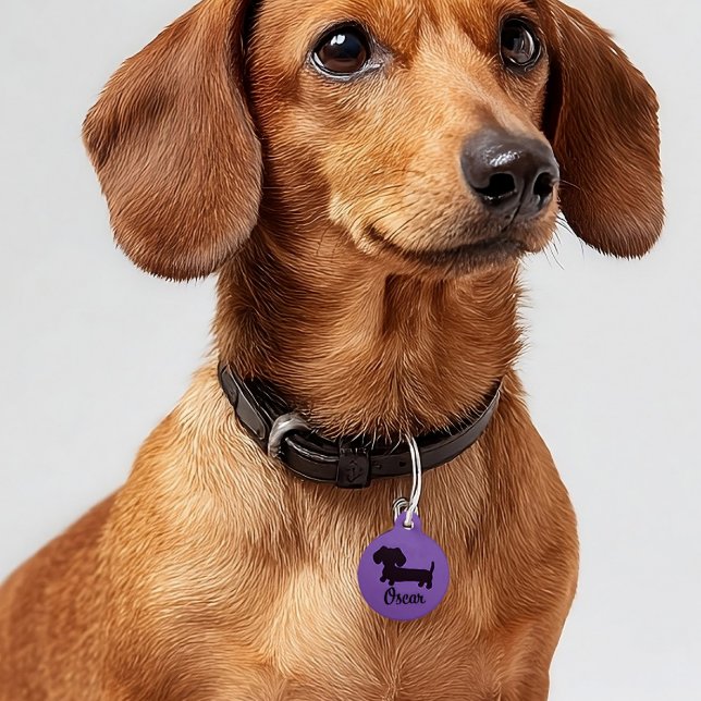 Dackel-Sicherheitskennzeichnungen Dackel Hundeschi Haustiermarke (new dachshund puppy gift - purple dog tag ID )