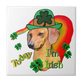 Dackel St Patricks Fliese