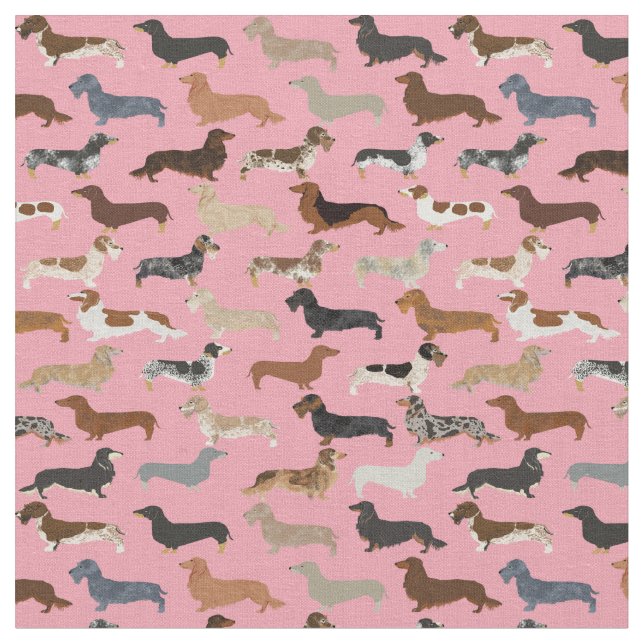 Dackel Stoff (Nahaufnahme)