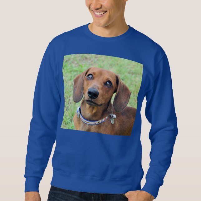 Dackel T - Shirt (Vorderseite)