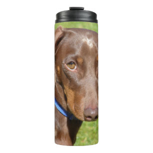 Dackel Thermosbecher