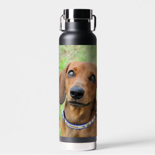 Dackel Trinkflasche