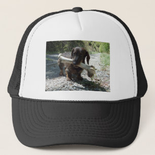 Dackel Truckerkappe