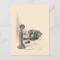 Dackel und Vintages Telefon