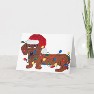 Dackel verwirrt in den Weihnachtslichtern (rot) Feiertagskarte