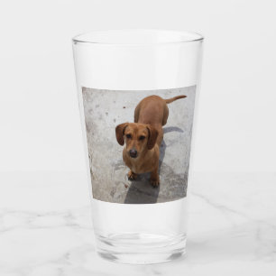 Dackel vollständig glas