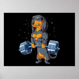 Dackel Weightlift Fitness Poster