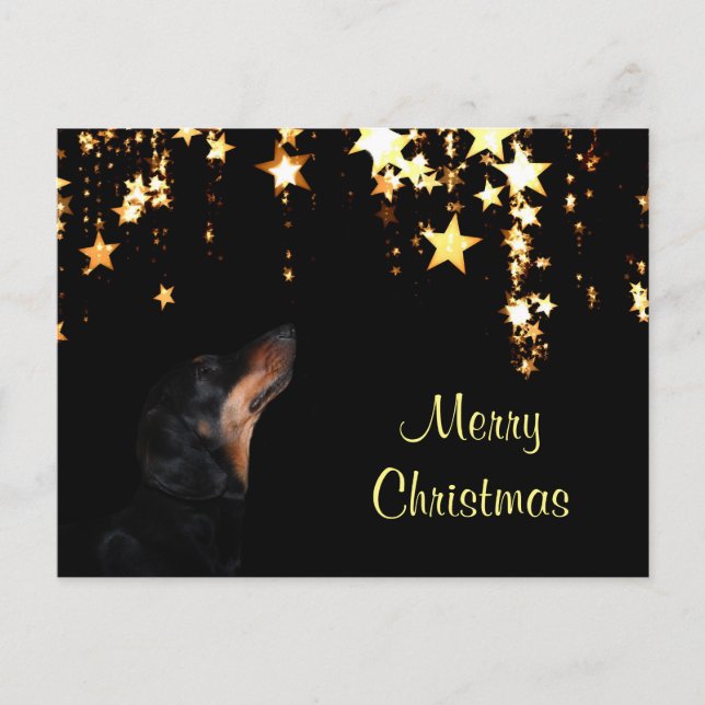 Dackel Weihnachten (Vorderseite)