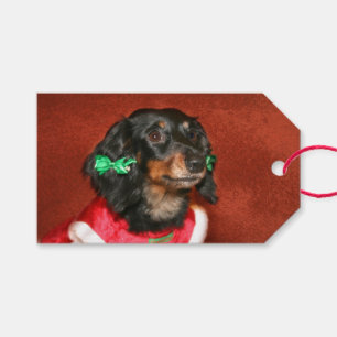 Dackel-Weihnachten Geschenkanhänger