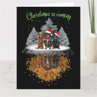 Dackel Weihnachten kommt Niedliche Hunde Grafik T-