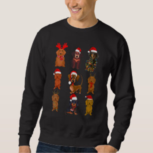 Dackel Weihnachts-Weihnachtsmann-Dackel Hund Sweatshirt