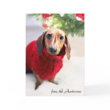 Dackel-Weihnachtsbaum-Hundestrickjacke fertigen