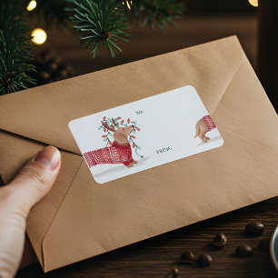 Dackel Weihnachtshund gemütlichen Pullover mit Lic Adressaufkleber