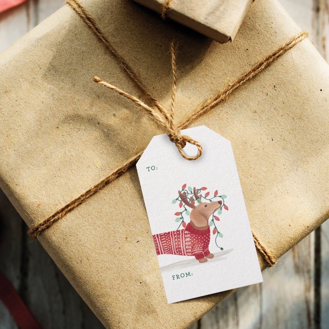 Dackel Weihnachtshund gemütlichen Pullover mit Lic Geschenkanhänger (Dachshund Christmas Dog Cozy Sweater With Lights Gift Tags)