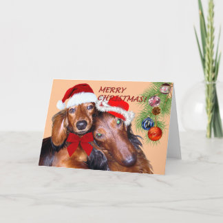 Dackel Weihnachtskarte Feiertagskarte