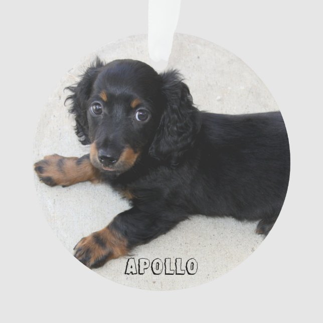 Dackel Weihnachtsschmuck Akryllische Foto hinzufüg Ornament (Vorderseite)