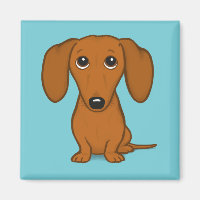 Dackel | Weiner Dog | NIEDLICHE DACKEL