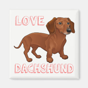Dackel Welpe Hund Red Liebe Magnet