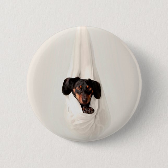 Dackel Welpe in der Hängematte Niedlich Adorable H Button (Vorderseite)
