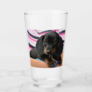 Dackel Welpe niedlich Glas