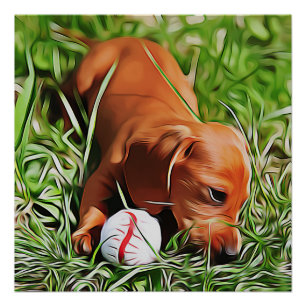 Dackel Welpen, die mit Ball-Xmas-Pop im Gras liege Poster