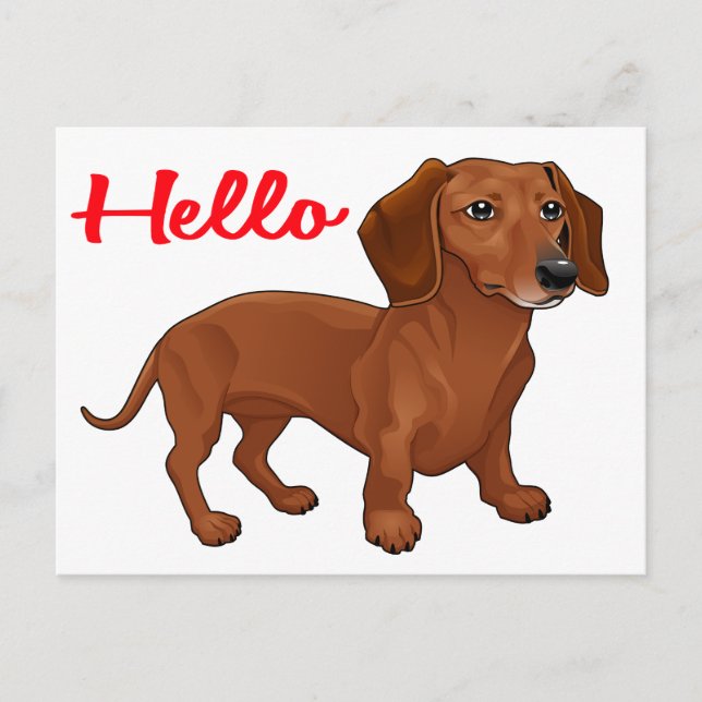 Dackel Welpen Hund - Red Hello, Thinking You Postkarte (Vorderseite)