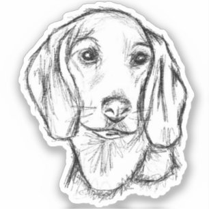 Dackel Welpenhund Schwarz-weiße Skizze Aufkleber