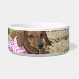 Dackelhund Napf