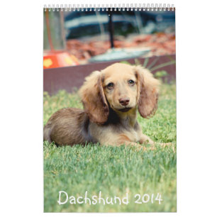 Dackeln 2014 kalender