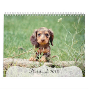 Dackeln 2015 kalender