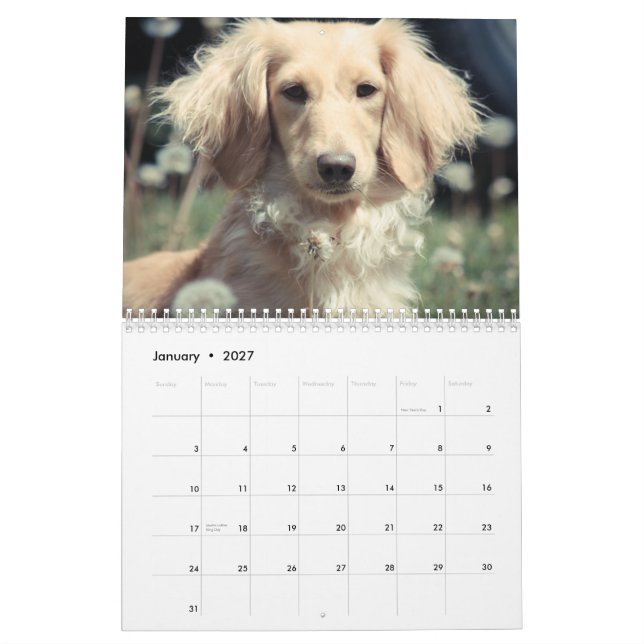 Dackeln 2015 kalender (Jan 2027)