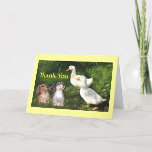 Dackeln Danke, dass ihr eine Karte mit Enten habt