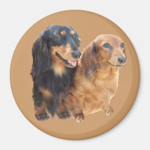 Dackelsweeties-Magnet Magnet
