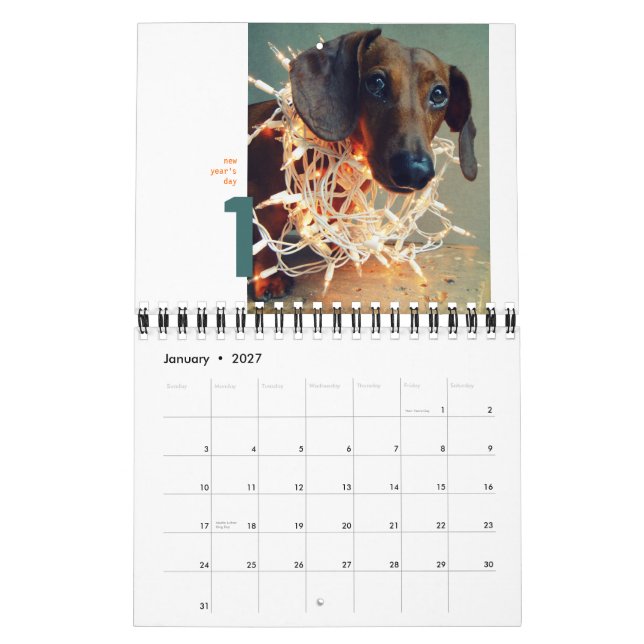 DackelWandkalender 2012 - kleines chumley Kalender (Jan 2027)