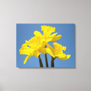 Daddofil Blume Canvas druckt Blue Sky Leinwanddruck