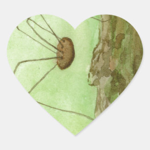 Daddy Long Legs Herz-Aufkleber