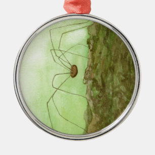 Daddy Long Legs Ornament Aus Metall