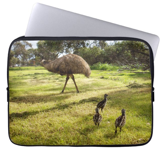 Daddy und Baby Emus, Laptopschutzhülle (Vorderseite)