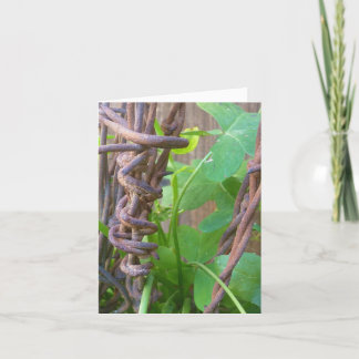 Daddy's Barbed Wire Karte