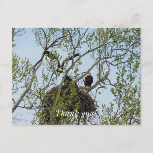 Daddys Zuhause Postkarte