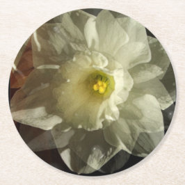 Daffidol Dreams Runder Pappuntersetzer