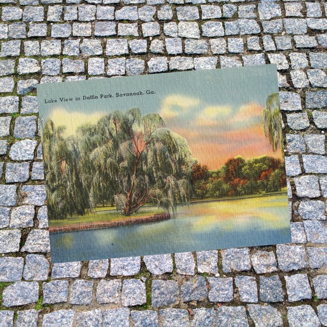 Daffin Park Lake View Savannah GA Retro Postkarte (Von Creator hochgeladen)