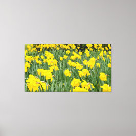 Daffodien Leinwanddruck