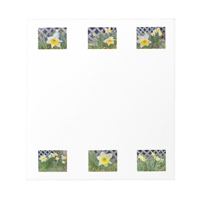 Daffodien Notizblock (Vorderseite)